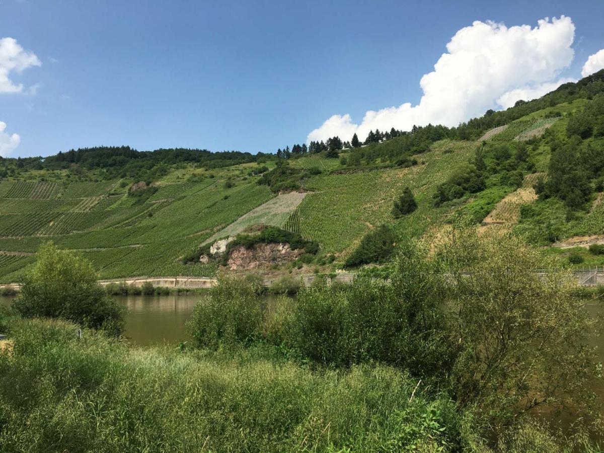 Spitzhaus Wolf Villa Verbandsgemeinde Verbandsgemeinde Traben-Trarbach Buitenkant foto